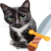 swordcat emote