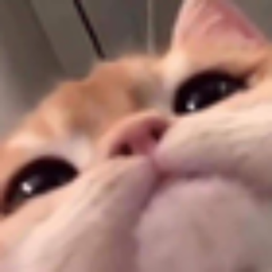 senzp avatar
