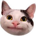 PoliteCat emote