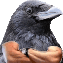 CrowApprove animated emote