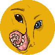 andric emote