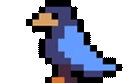 Squawk emote