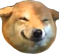 smile_doge emote