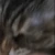 didntMeanIt emote