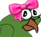 Birdgecute emote