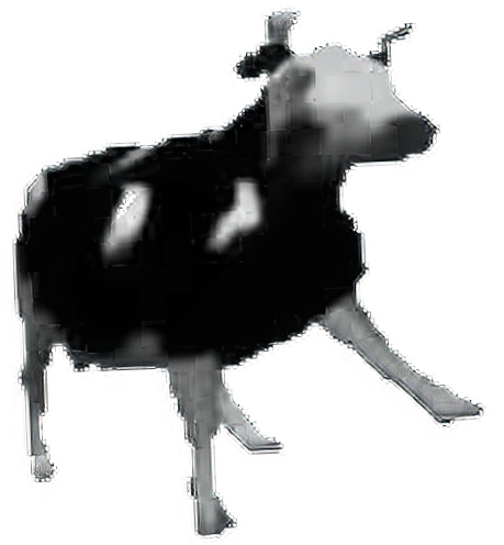 Polish_Cow emote