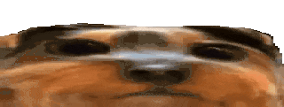 blink animated emote