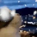 wowie emote