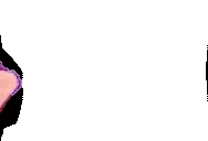 DIDSOMEONESAYGAYSEX emote