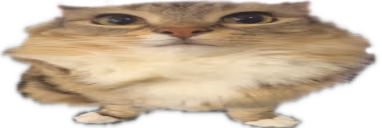 scooter emote