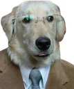 businessdog emote
