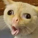 GaggingCat emote