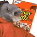 ReesesPuffs animated emote