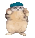 catDance emoji