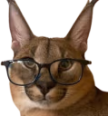 Glasses_Floppa emote