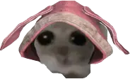 BabyFeng emote