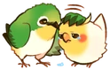 birbspat emote