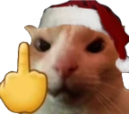catFU emote