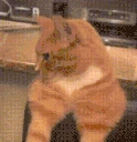 Mewing emote