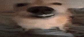 exam emote