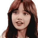 lisaAww emote