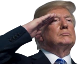 o7 emoji