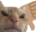 downswag emote