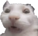 Hugh emote
