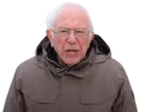 bernie emote