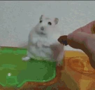 PTSD emote