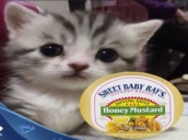 gaycatwithsweetbabysrayhoneymustart emote
