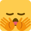 Im_Going_To_Stop_You_Right_There emote