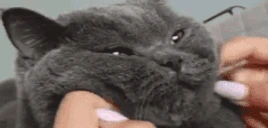 m4x0nn emote