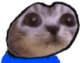 moreMogi emote
