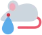 crymouse emote