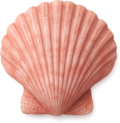 Lightpinkseashell static emote