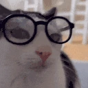 nerd emote