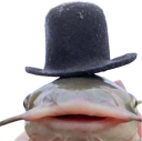 LeCatfish static emote