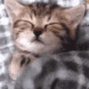 Sleepo emote