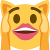 idkcat emote