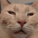 auh emote