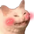 CattoBlush emote