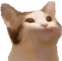 PauseCat emote