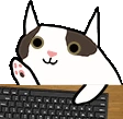 CatKeyboardWarrior emoji