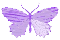 Purplebutterflyholo emote