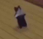 CatBreakdance emote