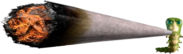 zazata emote