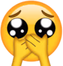 plead_cover emote