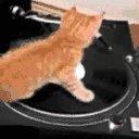 kittyJAM emote