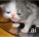ai emote